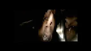 Bisk - KUZEN (Official Music Video)