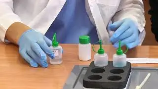 Живые уроки, Первоуральск, ноябрь 2023