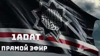 Как Кадыров помогает Палестине | ПРЯМОЙ ЭФИР 1ADAT | 29.10.2023