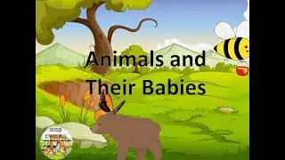 Vocabulary - Animals and their babies.