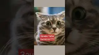 Пылесос — моя новая #песня на всех площадках #камедирок #прикол