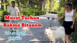 Murat Turhan Bakma Bitanem