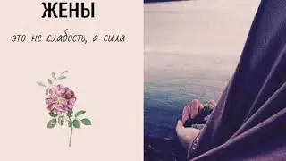 Куза хакида ривоят tkl
