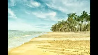 Relaxing music for relief | Nature sound | Sleeping music | calm music | mediation video