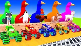 5 Giant Duck Cartoon,Tiger,Cow,Zebra,Sheep,Pig,Chicken,Dog,Cat Wild Animals Crossing Fountain 2023