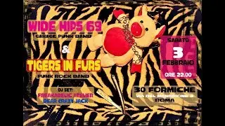 TIGERS IN FURS - Hangover - You Suck - 30 Formiche-03-02-2018