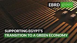 Supporting Egypt’s transition to a greener economy