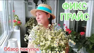 ФИКС ПРАЙС🍀Вынесла ВСЁ !😍 СУПЕР НАХОДКА👒 Обзор покупок! ТРИ ПАКЕТА!