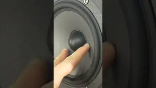 Teardown Focal Center speaker