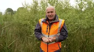 Paul Butler of Teagasc provides advice on forestry