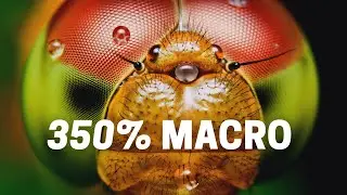 How To Get 350% Macro With Micro Four Thirds