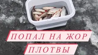 Ловля плотвы со льда.Ведро плотвы за час.Рыбалка на Днепре 2022.