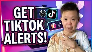 How to Add TikTok Alerts in OBS Studio (Beginner Guide 2025)