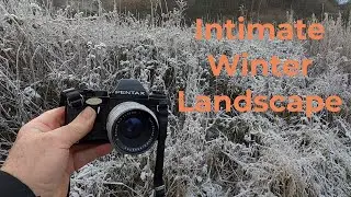 Intimate Landscapes, the first frosts