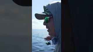 How to set Livescope GAIN #livescope #walleyefishing #walleye #fishingtips