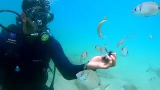 Plongé sous marine أول مرة تجربة الغوص في أعماق البحار