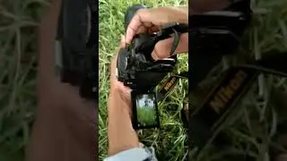 #short