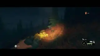 theHunter: Call of the Wild
