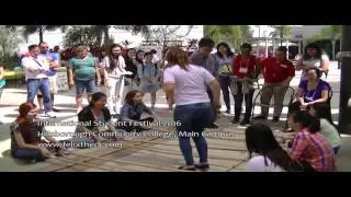 HCC International Festival 2016
