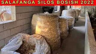 SALAFANGA SILOS BOSISHNI ORGANIB OLAMIZ ☎️ +998 93-642