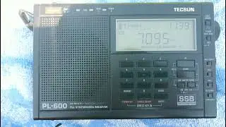 Мониторинг диапазона 40м.Радиосвязь на коротких волнах. 08.06.2021г.