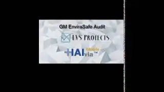 GMAudit
