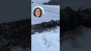 Вести с полей. Часть 2.