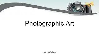 Summaries - Photographic Art