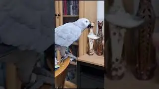 ...В продолжение ролика про кашу - Кирочка наелась.