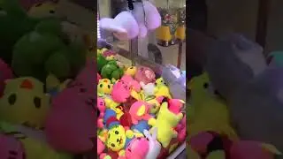 Азартный Макс 2 вытащил Зайца