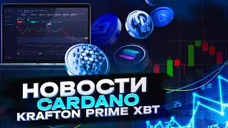 Новости - Cardano | Krafton | Prime XBT