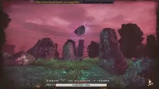 Где искать призраков в Anomaly Zone / Where to find ghosts in Anomaly Zone