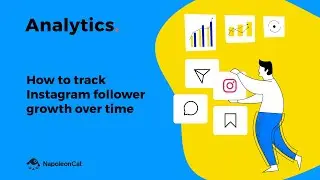 How to track Instagram follower growth over time with NapoleonCat