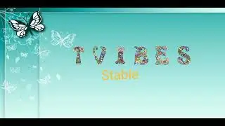 T vibes zvichaita stable (Official Audio