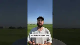 ⚡️ Бесплатный сайт с мемными переходами (хуками)