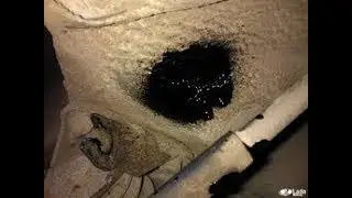 Лада Гранта Проблемное место на кузове. ИСПРАВЬ пока не поздно.