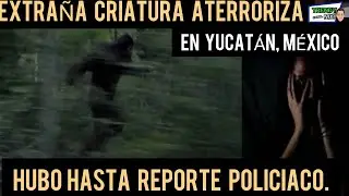 Extraña criatura como del tamaño de un gorila causa alarma en 