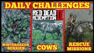 Daily Challenges WINTERGREEN BERRIES COWS RESCUE SOMEONE IN NEED Red Dead Online
