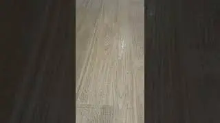 Дерево или керамическая плитка?