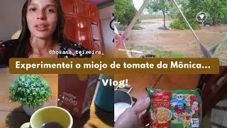 Vlog: Experimentei o miojo de tomate 🍅 da Mônica ...🥰✨️