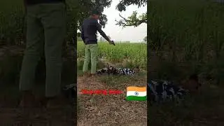 join karne Army short video 