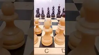 Кто я? #shorts #chess #шахматы
