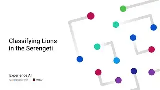 Classifying Lions in the Serengeti | Experience AI