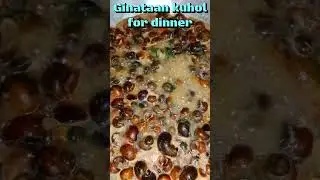 exotic food ginataan kuhol for dinner #food #youtuberchannel #ginataankuhol#filipinodish
