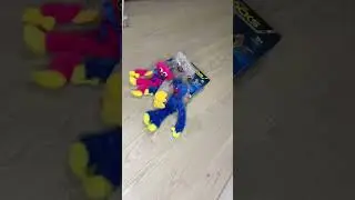 Соник против Хаги