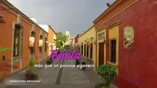 Tequila, más que un paisaje agavero