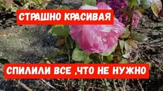 #707СТРАШНО