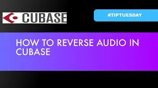 HOW TO REVERSE AUDIO IN CUBASE (