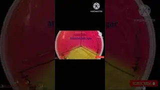 Mannitol Salt Agar 