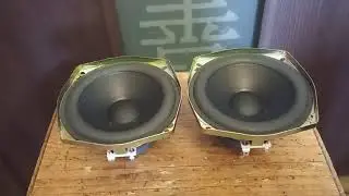 Technics T12P01B6  НЧ/СЧ динамики 12 см